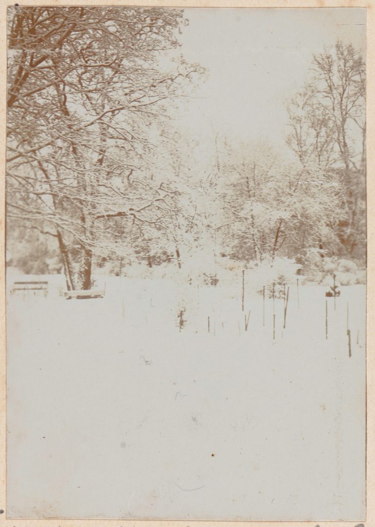 Kraków, ogród - widok zimowy