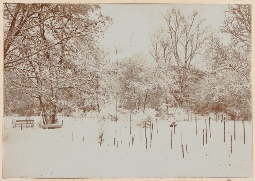 Kraków, ogród - widok zimowy