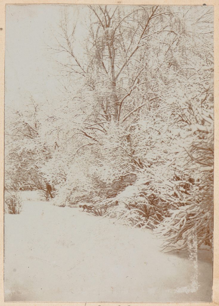 Kraków, ogród - widok zimowy