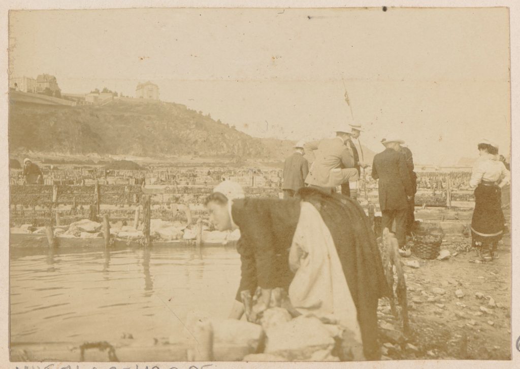 Bretania(?), hodowla ostryg