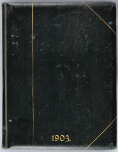 album zawierający 117 fotografii