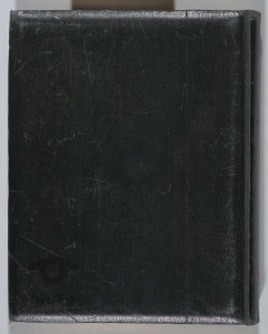 album zawierający 117 fotografii