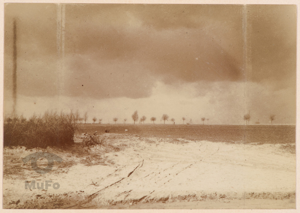 Pola, krajobraz zimowy.