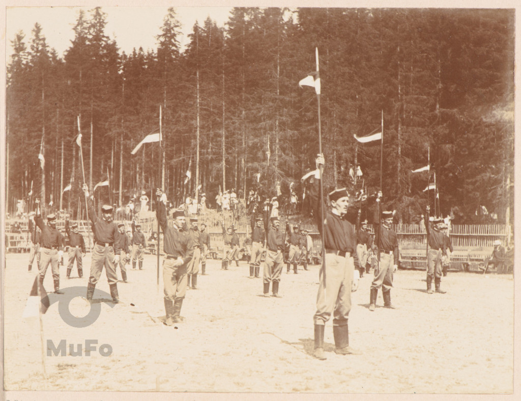 Pokazy sportowe, Sokół