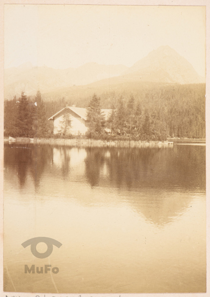 jezioro i las, góry (Tatry)