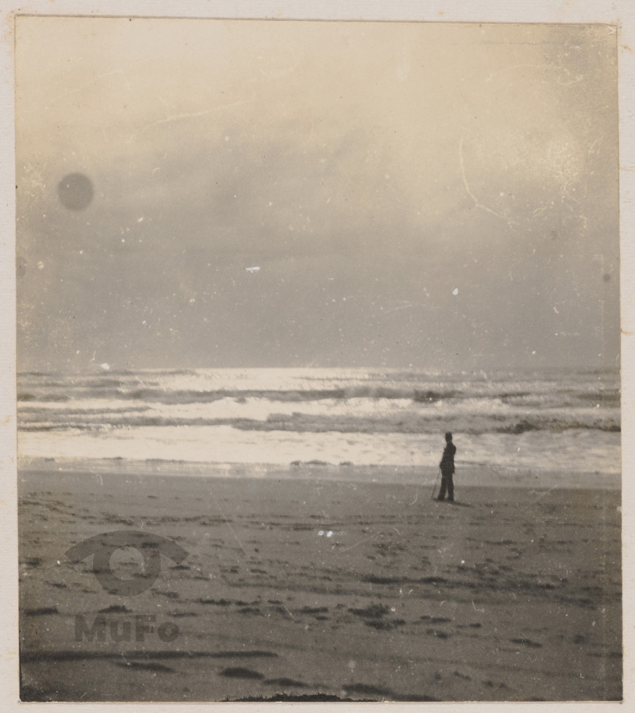 Brzeg morza. Plaża.
