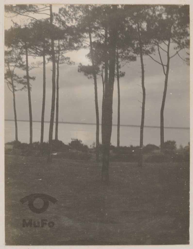 Fragment wybrzeża.