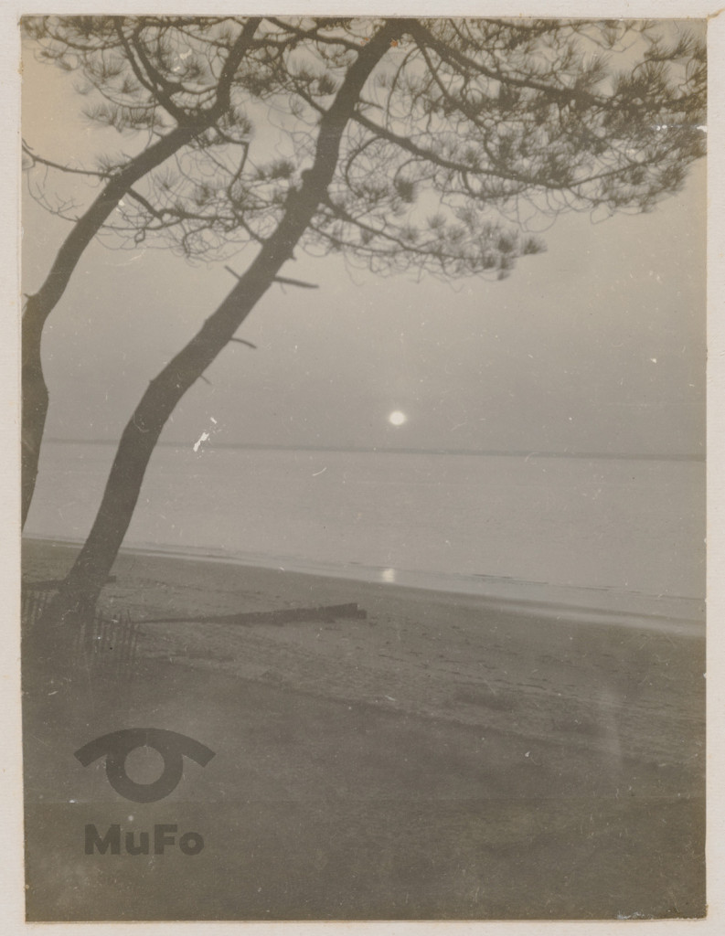Fragment wybrzeża.