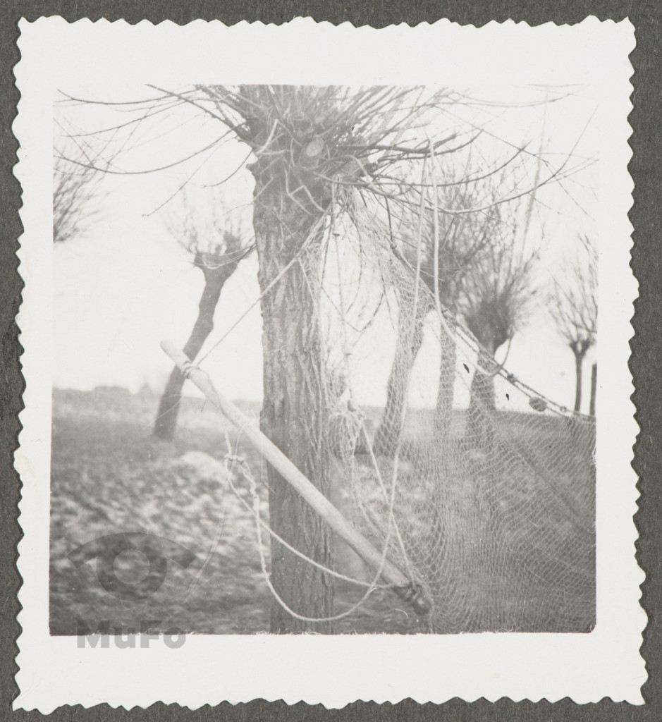 sieć zawieszona na wierzbie