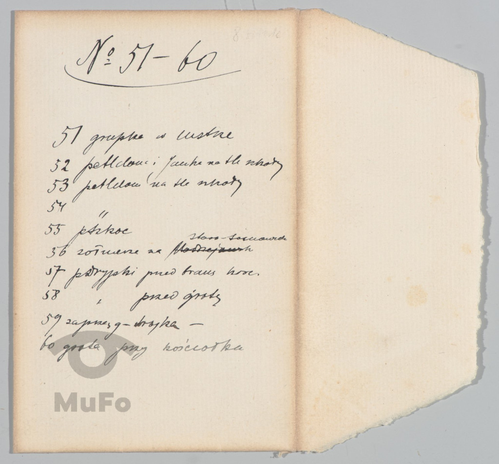 Koperta zawierająca 9 fotografii na błonach ciętych, Sosnowiec, Francmanowie