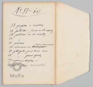 Koperta zawierająca 9 fotografii na błonach ciętych, Sosnowiec, Francmanowie