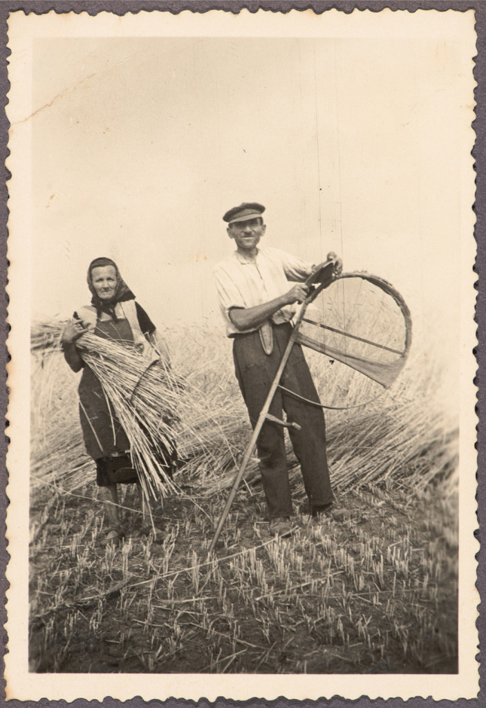 kobieta i mężczyzna, żniwa
