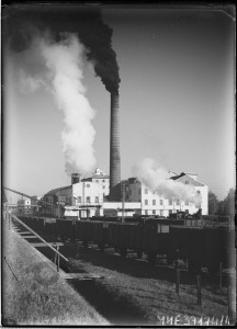 Cukrownia, Chodorów