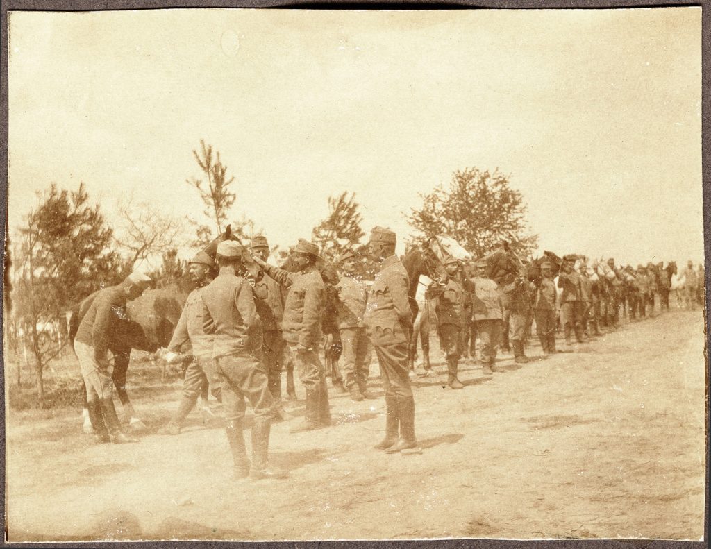 Przegląd koni na placu; wojskowi  w mundurach armii austro-węgierskiej, portret zbiorowy w plenerze, fot. z albumu zw. temat. z frontem ros. w cz.I wojny świat.