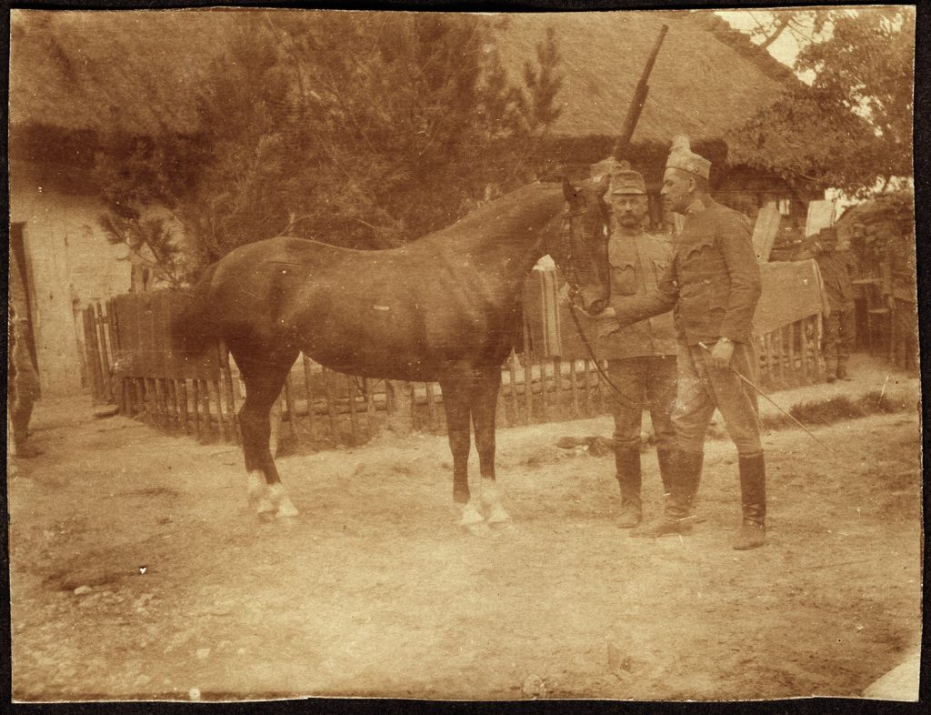 2. wojskowi  w mund. armii austro-węgierskiej, z koniem zwr. bokiem w pr., portret zbiorowy w plenerze, na tle chaty krytej strzechą; fot. z albumu zw. temat. z frontem ros. w cz.I wojny świat.