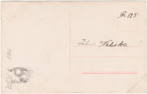 Rudolf Valentino, portret