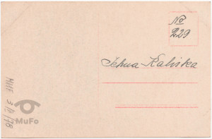 Agnes Esterhazy, portret