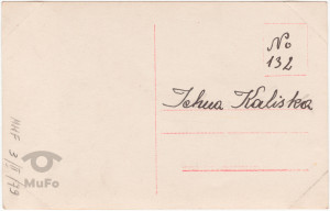 Agnes Esterhazy, portret