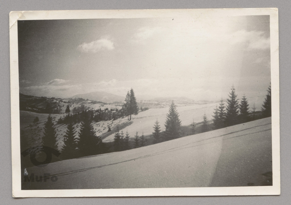 panoroma górska, Bieszczady Wsch.