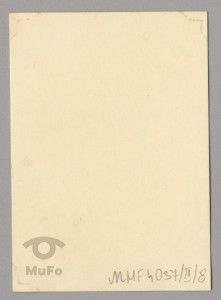 jodła