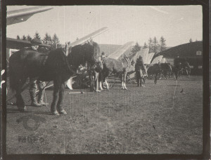 "kurs szybowcowy w Ustianowej"