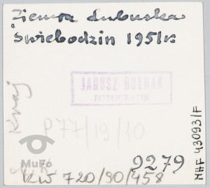 Świebodzin, ulica