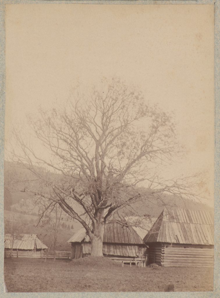 Zakopane, drewniane zabudowania