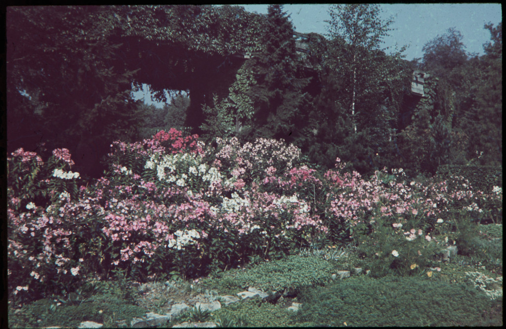 Pergola we Wrocławiu