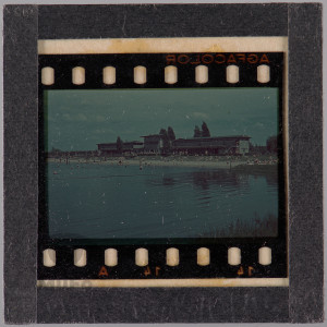 Legnica, kąpielisko Kormoran