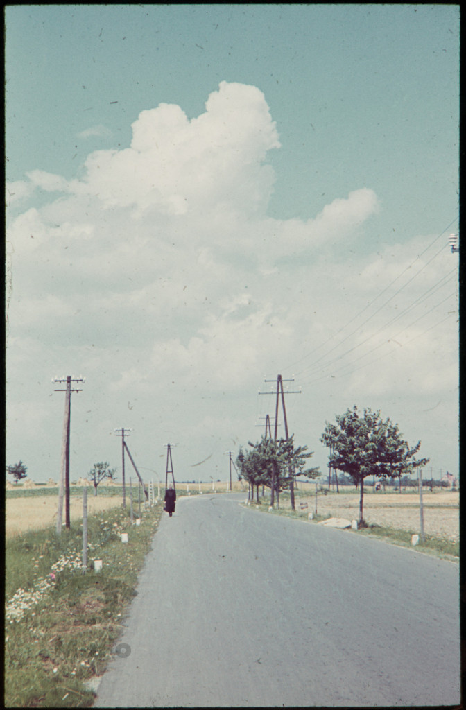 Kobieta idąca szosą