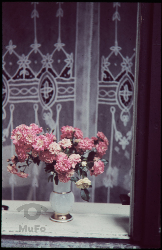 Wazon z kwiatami na oknie