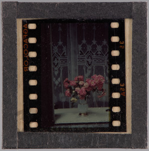 Wazon z kwiatami na oknie