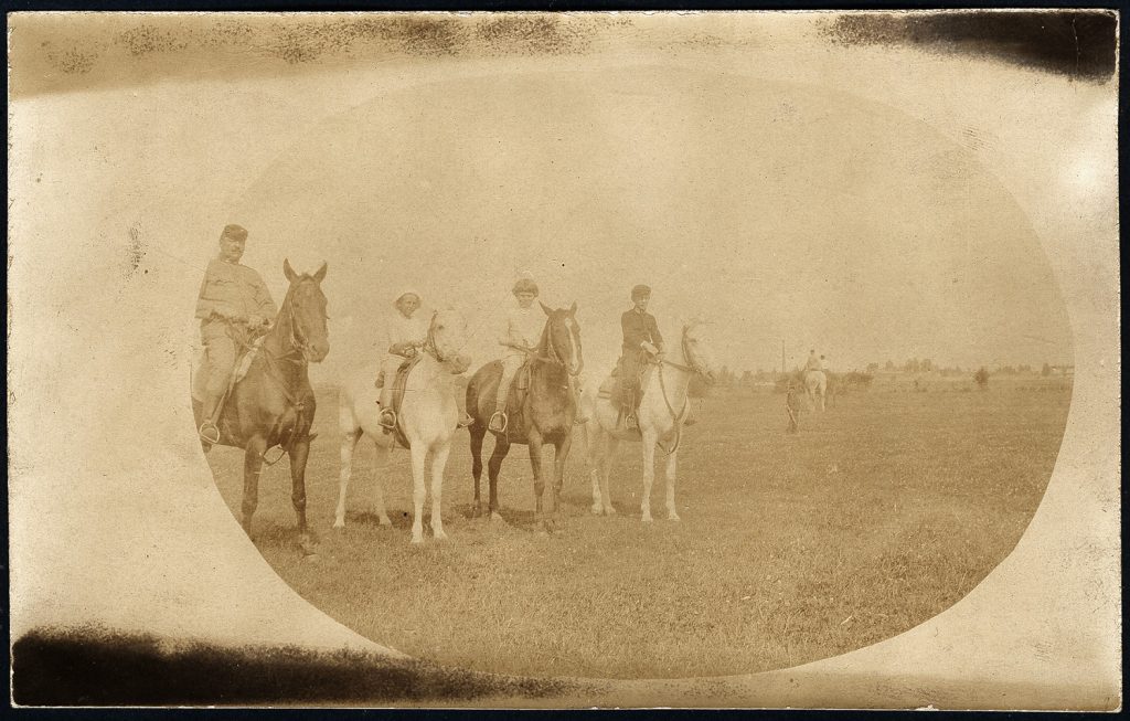 jeźdźcy na łące.