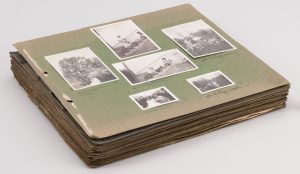 Album bez oprawy, 41 kart z zielonego kartonu