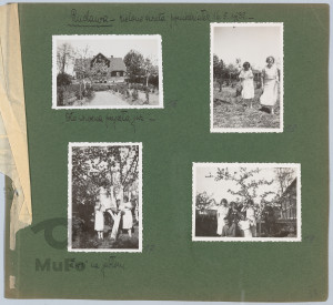 Album bez oprawy, 41 kart z zielonego kartonu