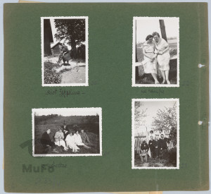 Album bez oprawy, 41 kart z zielonego kartonu