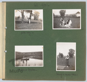 Album bez oprawy, 41 kart z zielonego kartonu