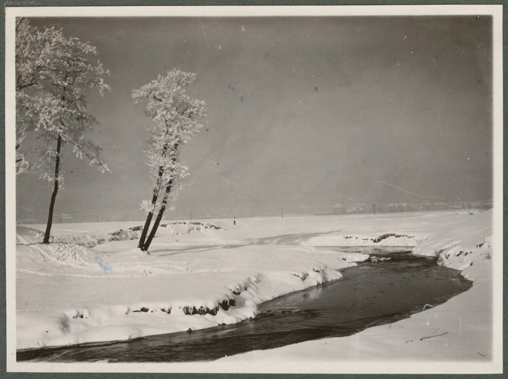 Pejzaż zimowy z rzeką i drzewami, Rudawa