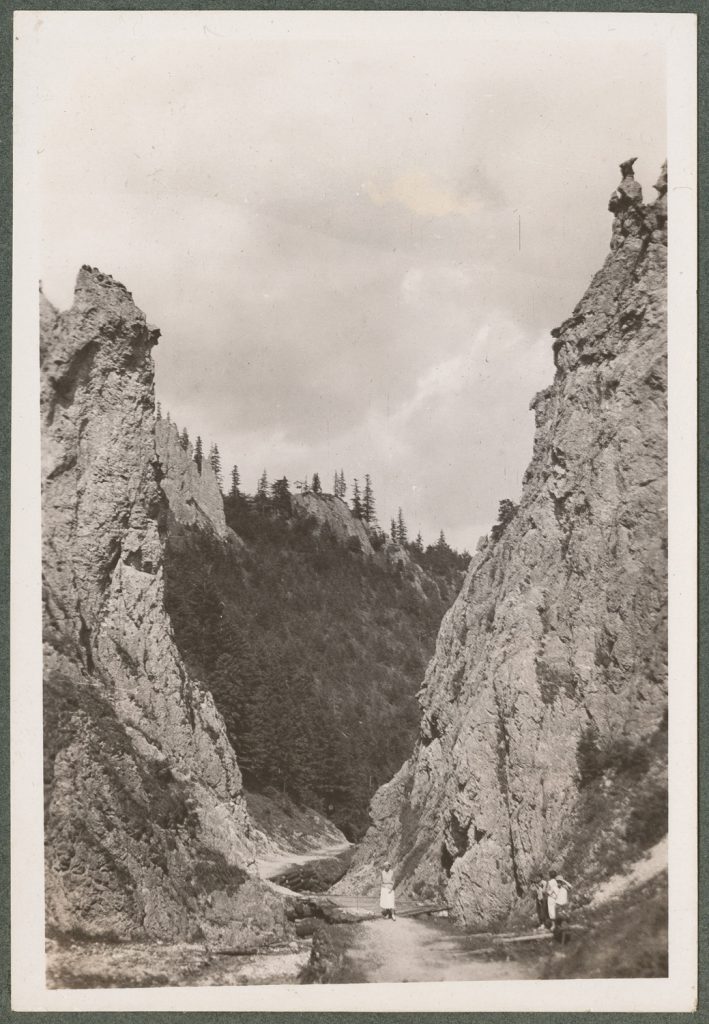 Dolina za Bramką, Tatry