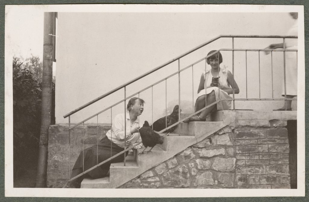 Dwie młode kobiety, portret