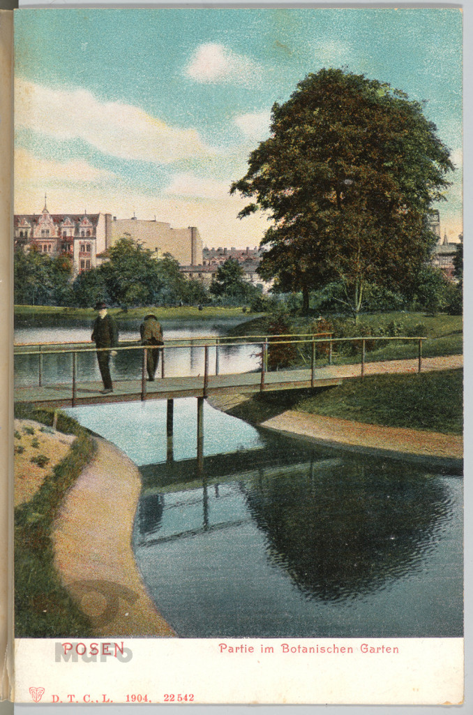 Poznań, Ogród Botaniczny, widok.