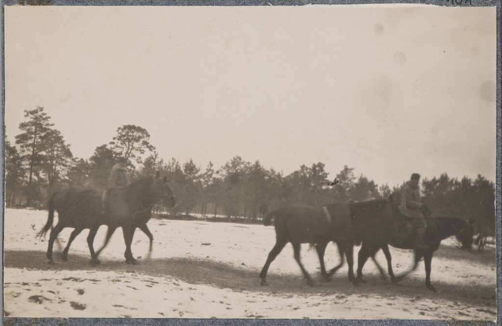 Dwaj żołnierze armii Austro-Węgier na koniach, prowadzący dwa luzaki