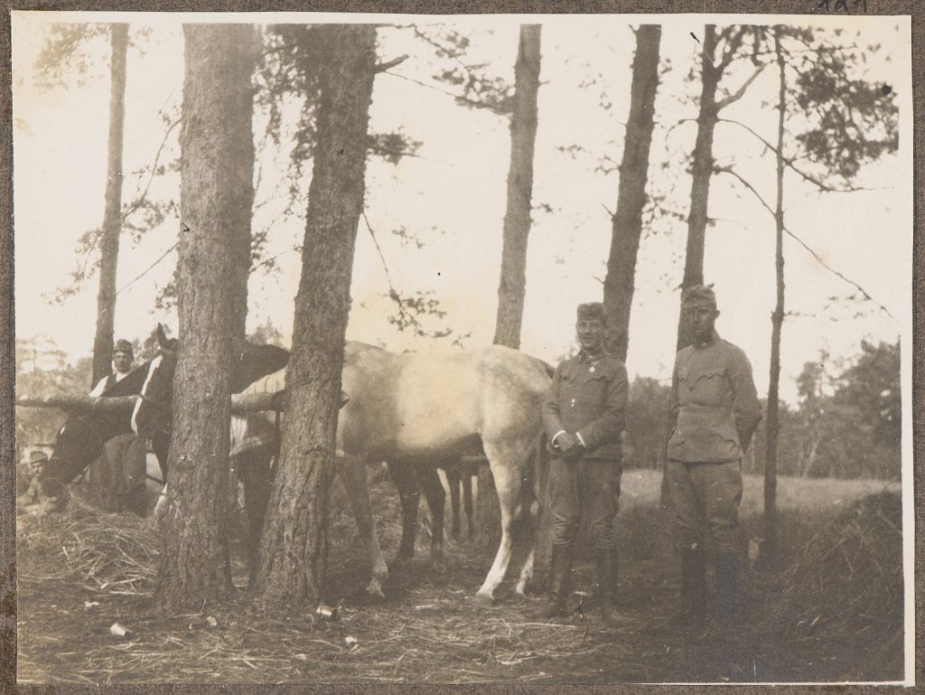 Czterej żołnierze Austro-Węgier przy trzech koniach u koniowiązu