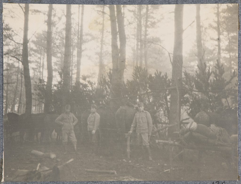 Trzej żołnierze armii Austro-Węgier przy koniach w lesie, portret
