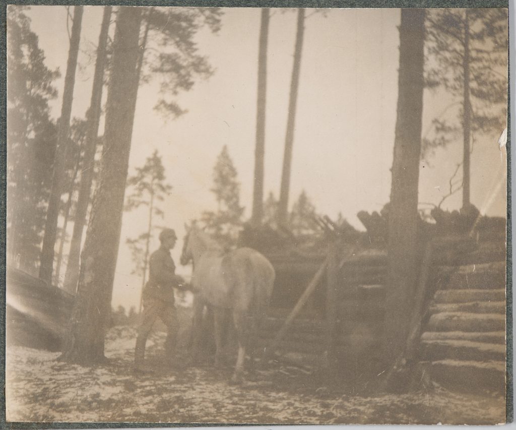 Żołnierz armii Austro-Węgier z koniem