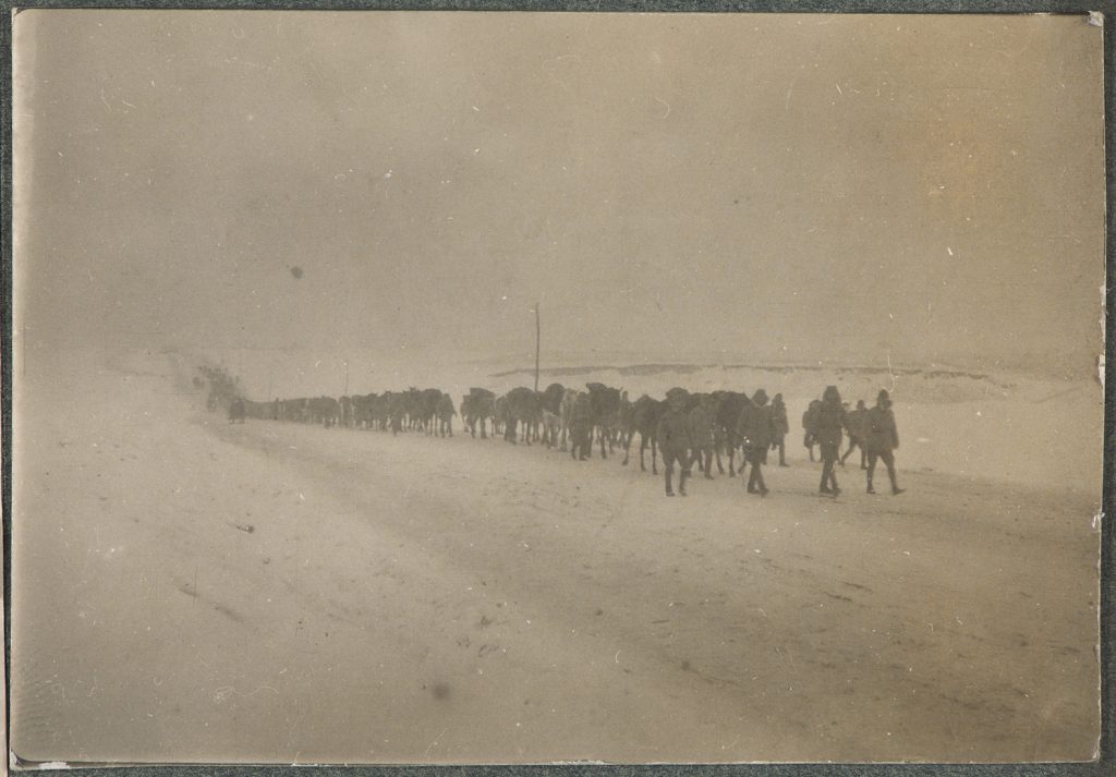 Marsz kolumny armii Austro-Węgier