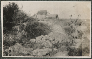 Wierzbica, stanowisko obserwacyjne i rów łącznikowy