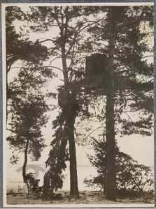 Budka strażnicza na drzewie i żołnierz armii Austro-Węgier na drabinie