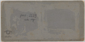 Krym, portret kobiety z kotem na krześle